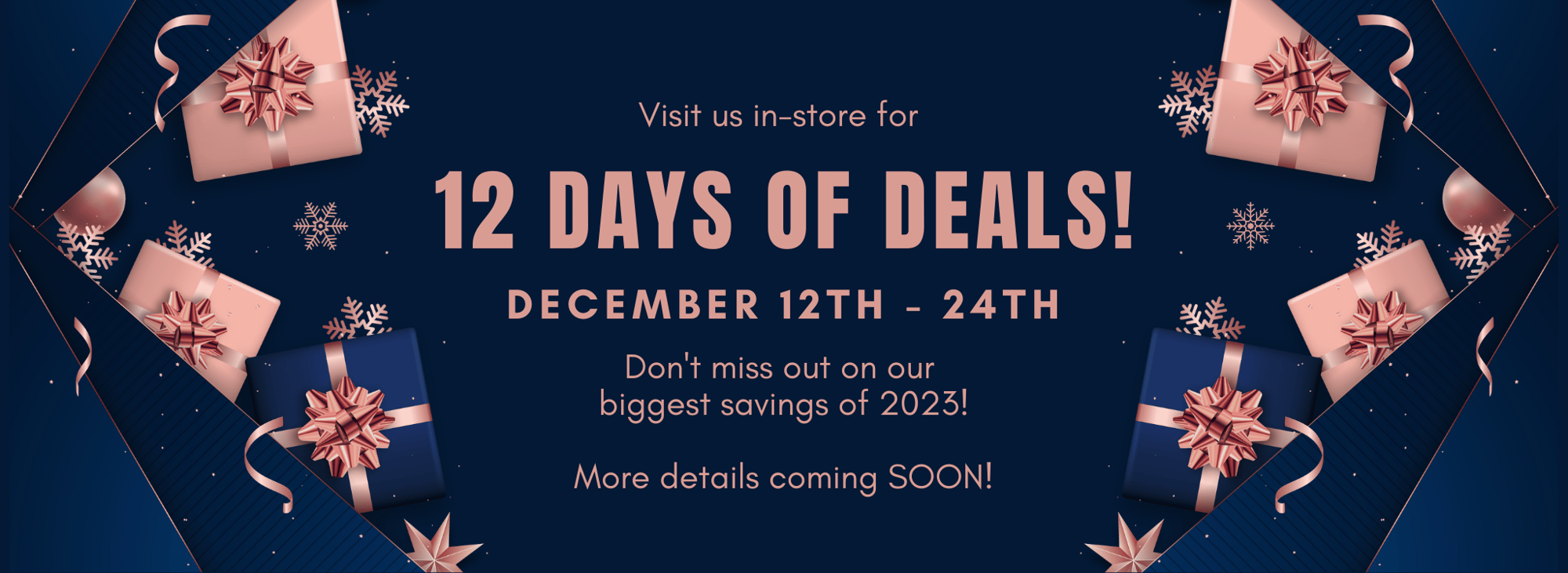 12 Days of Deals - Holiday Web Banner teaser