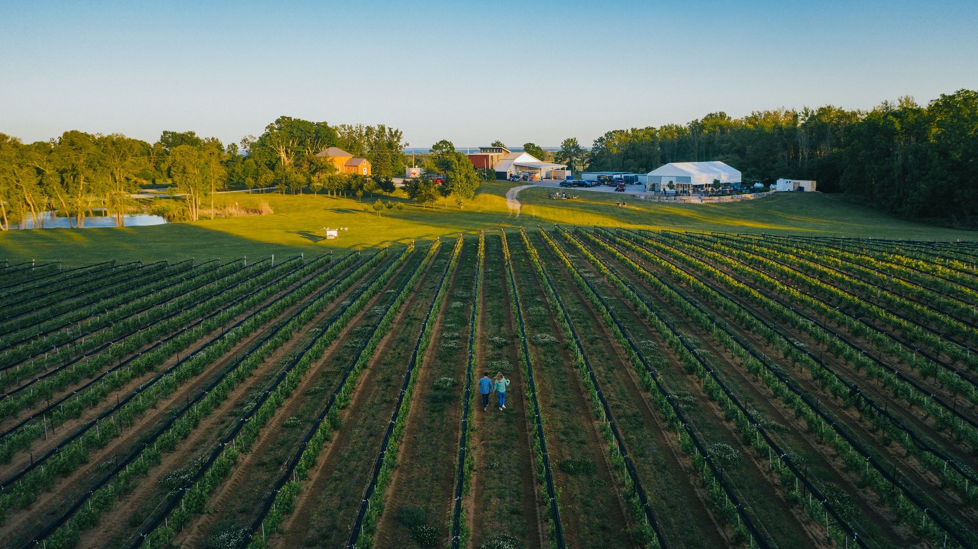 DJI_0055