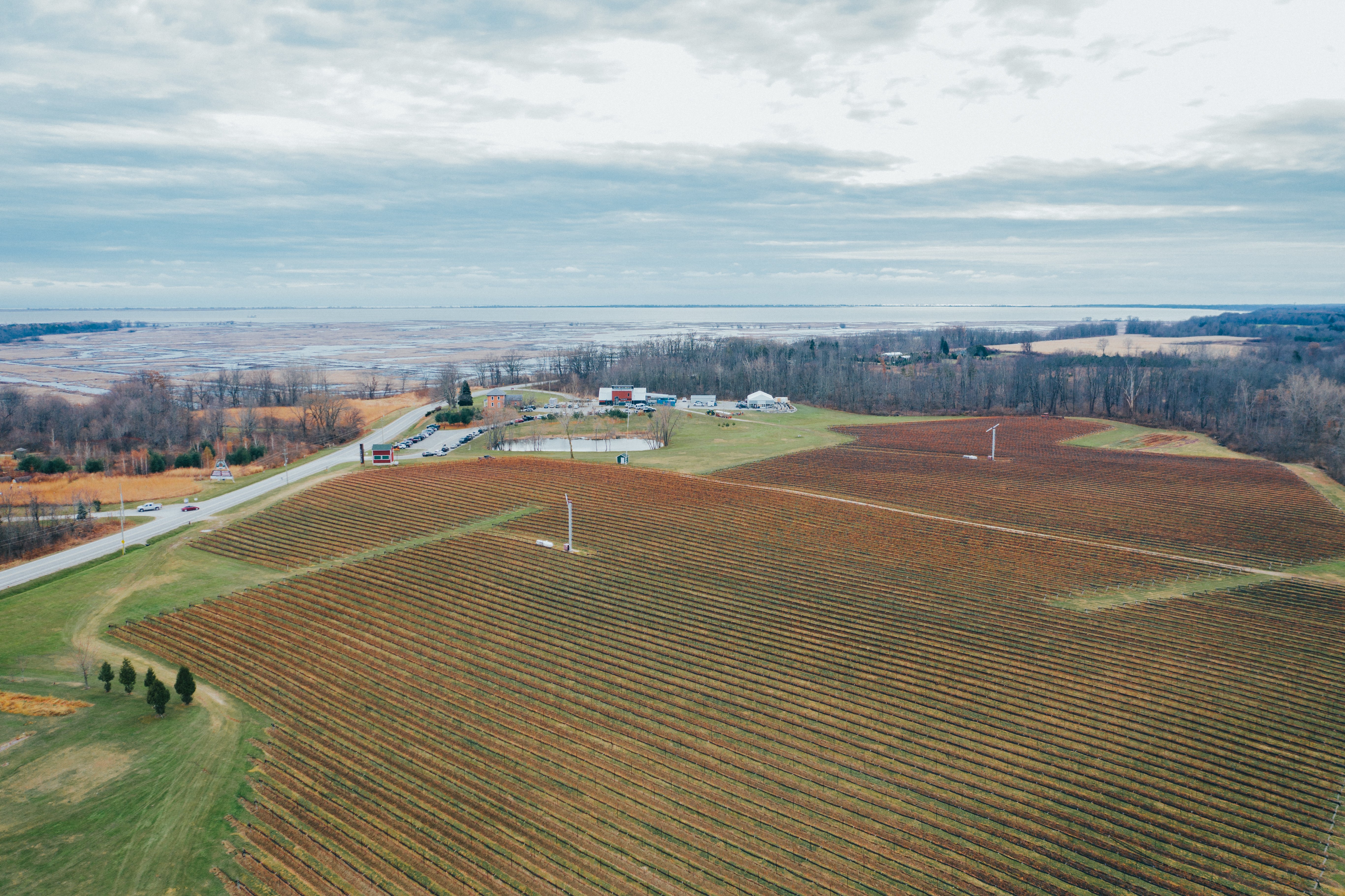DJI_0628